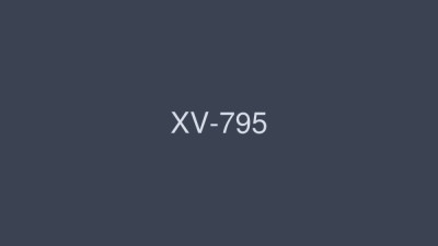 XV-795 SEX more exciting than the sun in Haruka Ito [쇼츠야동,섹트야동,국산야동,혼딸야동]